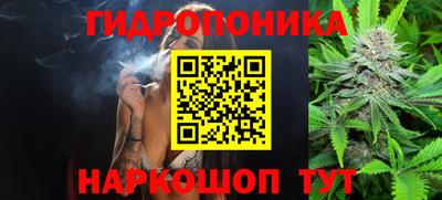 шишки Ярцево