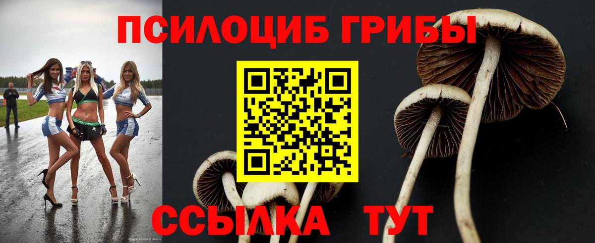 Бахчисарай  Галлюциногенные грибы GOLDEN TEACHER  Вход с VPN  где продают наркотики  Псилоцибиновые грибы MAGIC MUSHROOMS 