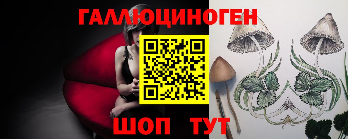 Галлюциногенные грибы Psilocybe Бахчисарай